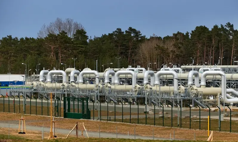 Factory-assembled skid package for a renewable power plant
